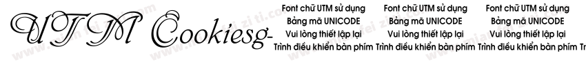 UTM Cookiesg字体转换